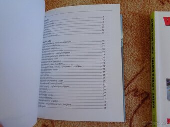 Jiří Babica + Láďa Hruška - 2