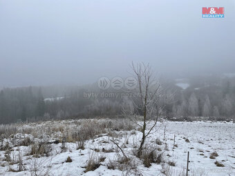 Prodej, les, 8638 m2, Železný Brod - 2