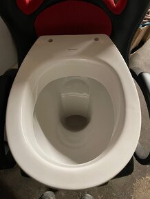 Geberit Renova stojací WC splachovací, 46 cm - 2
