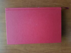 Kniha Přízrak Edgara Allana Poea (autor Matthew Pearl) - 2