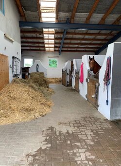 Brigáda u koní - 2