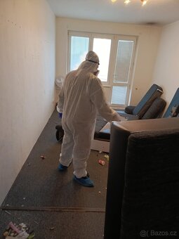 Deratizace, Dezisekce, Dezinfekce - 2