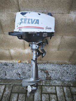 Selva guppy - 2
