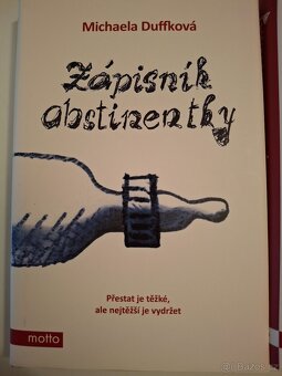 Zápisník alkoholičky - 2