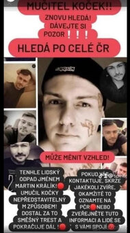 varování před sadistickým tyranem - 2