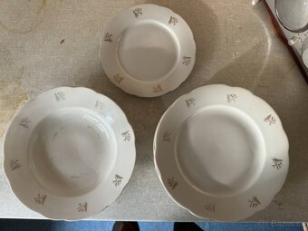 kořenky, talíře - 2