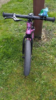 Odrážedlo Rascal Punk - 2