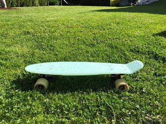 Skateboard - 2