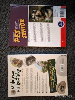 Pes senior, Malujeme kamínky - 2