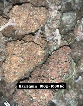 CBD kvety - 2