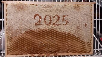 Med z oblasti českého lesa z vlastní malé včelnice - 2