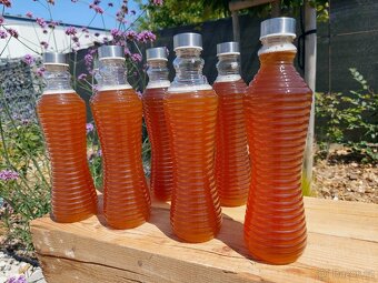 Kombucha - prodej nápoje - 2