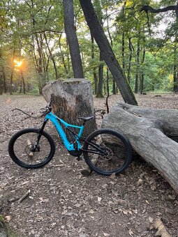 Specialized Turbo Levo Comp L 29 (2019) - 2