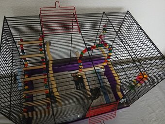 Klec pro andulku - 2