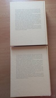 Prozatímní  divadlo 1 a 2 - 2