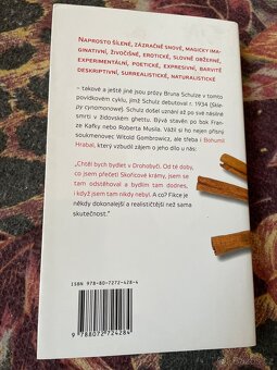 Skořicové krámy Bruno Schulz - 2