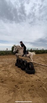 Hledám pronájem koně - 2