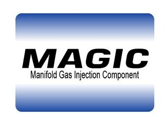 Magic G4 řídící jednotka LPG pro 4vál. E867R013065 - 2