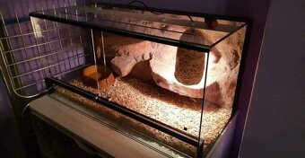 Terárium 80x40x40 cm s pískem - 2