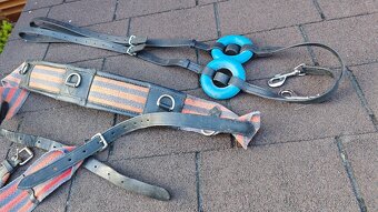 Prodám více věcí na lonžování - 2