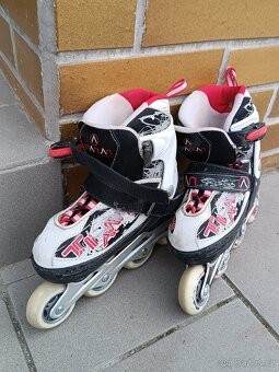 Brusle in-line Titan Spartan - 2