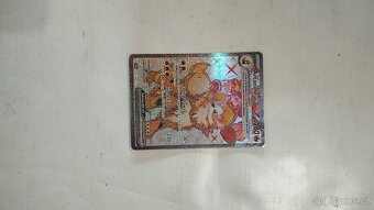 Pokémon karta Arcanine EX 224/198 - 2