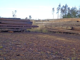 smrková kulatina suchá odkornená - 2