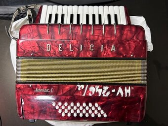 Akordeon Delicia Junior 1 - 2