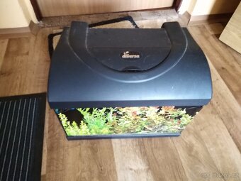 Prodám akvárko s příslušenstvím - 2