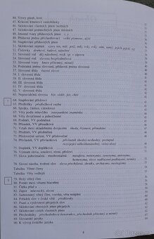Slovník,  Český jazyk, pravopis - 2