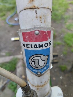Staré kolo velamos - 2