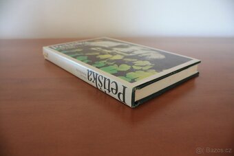 Třicet manželek - Eduard Petiška - 2