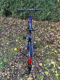 Kolo Winora Melose - 2