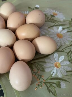 Domácí vajíčka - 2