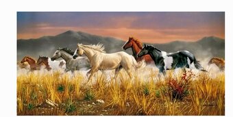 Puzzle 13200 dílku - koně - 2