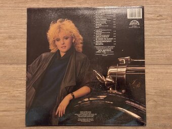 8 x LP desky (Madonna, Bartošová, Gott, Becaud, Fitzgerald.) - 2