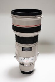 Canon EF 300mm f2.8L - 2