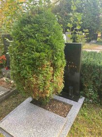 Hrobové místo + náhrobní kámen - 2