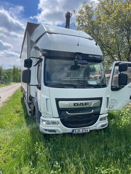 DAF LF 220, 12t - 2