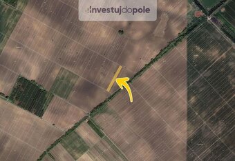 Prodej pole v k.ú. Hrušky - 2