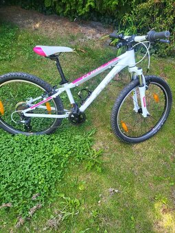 Dětské kolo Cube ACID 240 DISC actionteam - 2