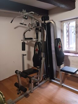 Posilovací věž Hammer - 2