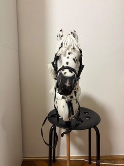 HobbyHorse - 2