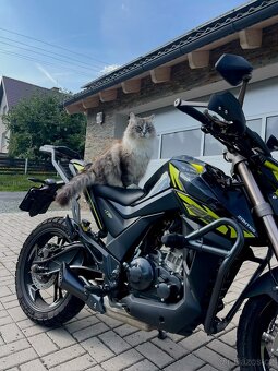 ZONTES HYPER TRAIL 125 - 2