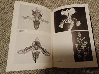 Orchideje - Dušek, Křístek - 2