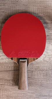 Pálka na stolní tenis - 2