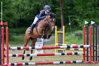 Pony klisna kat. B - 2