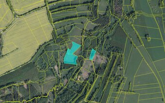 Prodej ucelené louky a lesa - 1,2 ha - kú Podivice - 2