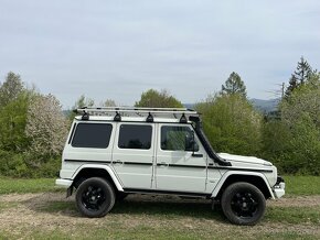 Mercedes Benz G 300 cdi Professional - 2