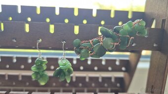 Spona do vlasů z nefritu - 2